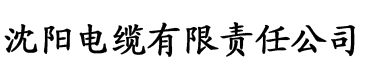 桔子影视电缆厂logo